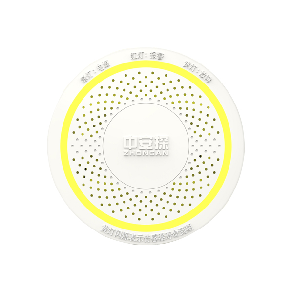 JTM-ZJ203家用燃?xì)庑孤┨綔y器